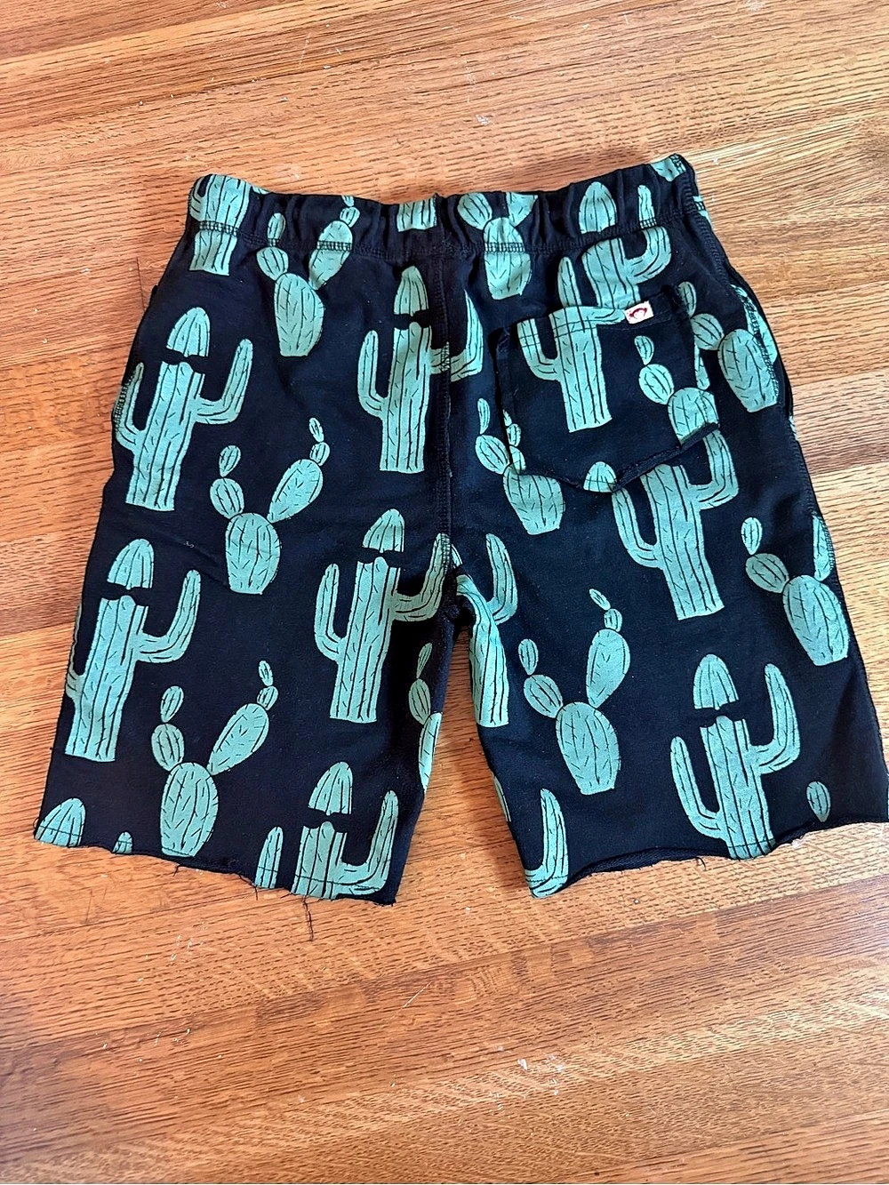 Appaman Boys Size 12 Cactus Print Shorts – Black & Turquoise 🌵